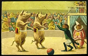 Ringmaster: Animal circus with two performing pigs