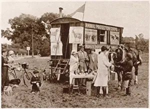 Treated: Animal Protection Corps 1922