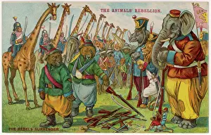 Continues: ANIMAL REBELLION - 5