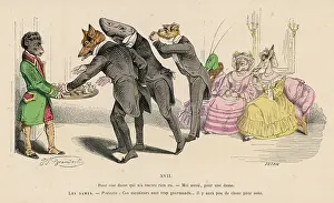 Grab: ANIMAL RECEPTION