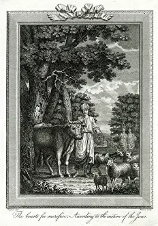 Sacrificial: Animal Sacrifice in Judaism