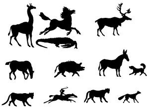 Giraffe: Animal silhouettes