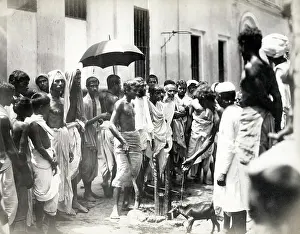 Slaughter: Animal slaughter, young goat, watching crowd, India