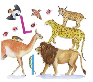 Lindy: Animals All Around by Lindy Norton