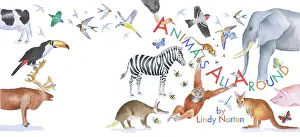 Lindy: Animals All Around by Lindy Norton