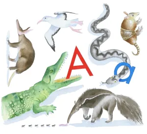 Lindy: Animals All Around by Lindy Norton