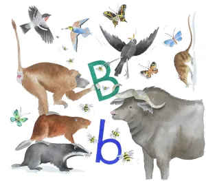 Lindy: Animals All Around by Lindy Norton