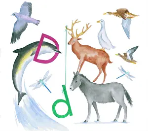 Lindy: Animals All Around by Lindy Norton