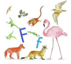 Lindy: Animals All Around by Lindy Norton