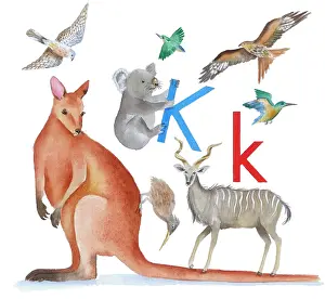 Lindy: Animals All Around by Lindy Norton
