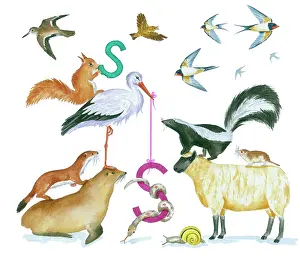 Lindy: Animals All Around by Lindy Norton
