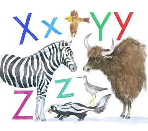 Lindy: Animals All Around by Lindy Norton