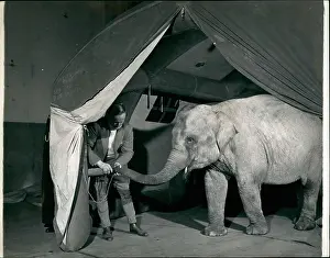 Clipped: Animals - Aquariums - Archeology - Insects - Fossils - Zoos