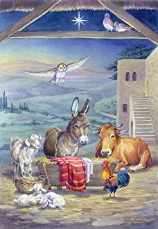 Advent: Animals around the Crib ' donkey, ox, lambs etc