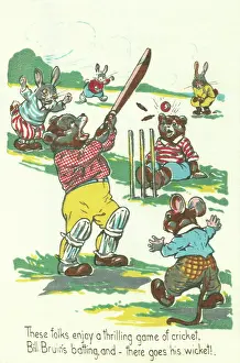Sharman: Animals Cricket Match