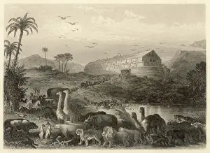 Depictions: Animals Enter the Ark