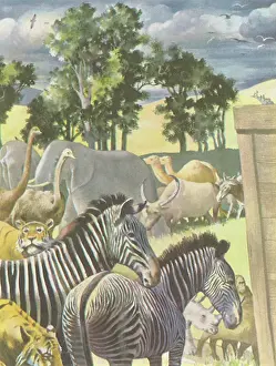 Tigers: Animals Enter Ark
