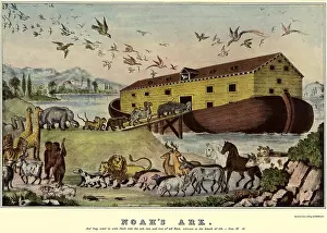 Kinds: Animals Entering Ark