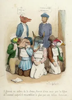 Failings: ANIMALS FAILINGS