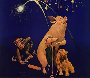 Leash: Animals and Fireworks