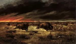 Wolves: Animals Fleeing Fire