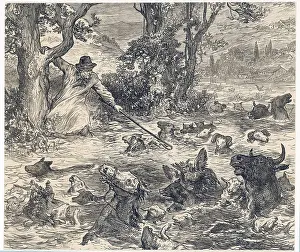 Floodwaters: ANIMALS IN FLOOD