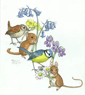 Vole: Animals and flowers by Molly Brett