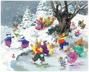 Badgers: Animals having fun in the snow