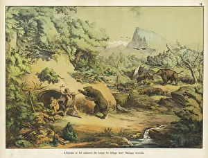 Animals and homo sapiens at the time of the Flood