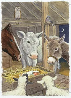 Animals looking at baby in manger
