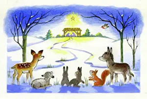 Lynes: Animals looking at Holy Stable in snow