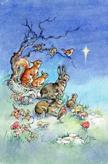 Animals Looking at the Star of Bethlehem