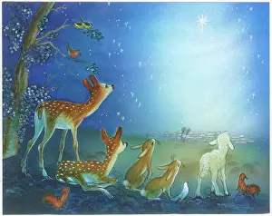 Schermele: Animals looking at the star over Bethlehem