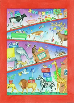 Lindy: Animals Moving House