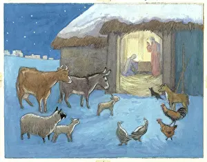 Animals nativity scene christmas card