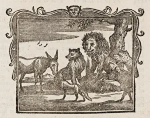 Relieve: Animals Sick of Plague