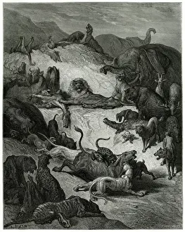 Decide: Animals Sick of Plague