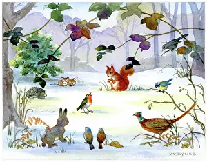 Bluetit: Animals around singing robin in the snow