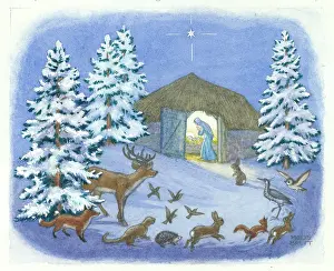 Animals in the snow looking at Mary and Jesus