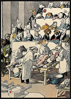 Rabbits: Animals Vivisecting Human