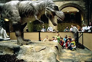Tyrannosaur: Animated model of Tyrannosaurus rex