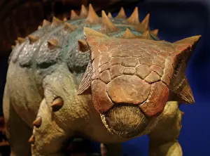 Ankylosauria: Ankylosaurus