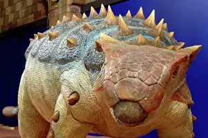 Ankylosauria: Ankylosaurus
