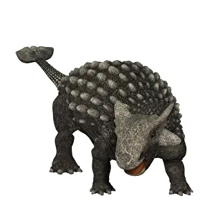 Terrible: Ankylosaurus was an armored dinosaur from the Creataceous ?