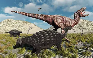 Defending: An Ankylosaurus defending itself from an attacking ?