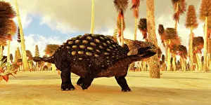 Thyreophora: Ankylosaurus dinosaur in a Cretaceous forest