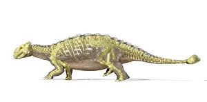 Cutaway: An Ankylosaurus dinosaur with full skeleton superimposed