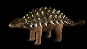 Ugliness: Ankylosaurus dinosaur, side view