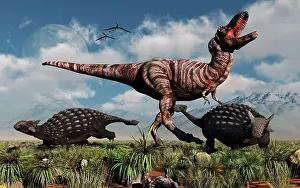 Ankylosaur: Ankylosaurus dinosaurs defend themselves against a T-Rex