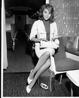 Fielding: Ann Morgan Williams, American actress